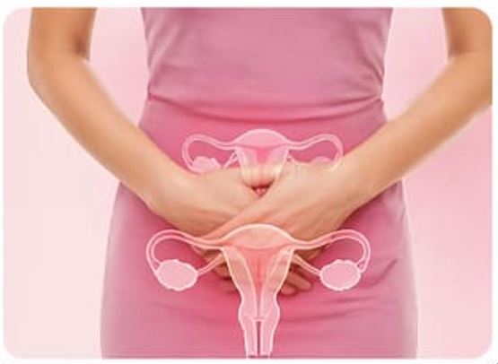 Women's Health