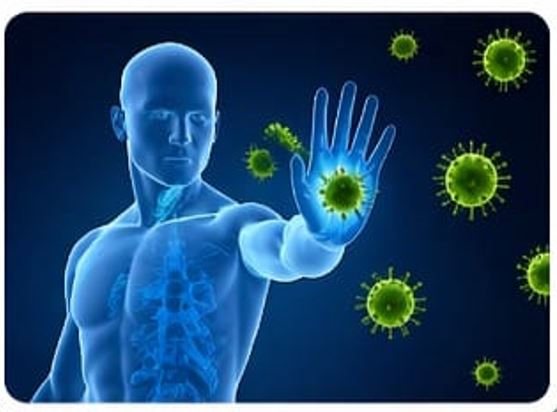 Low Immunity