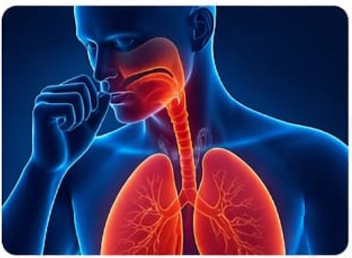 Allergies & Asthma